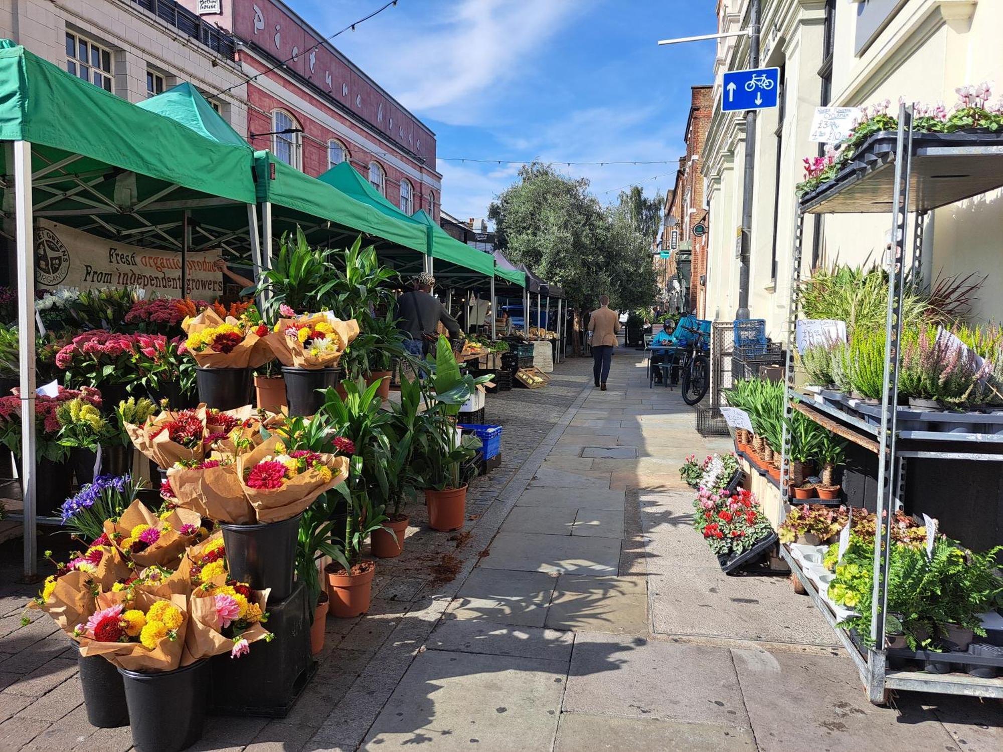 Clapham Serenity Garden Retreat With Free Parking Londres Extérieur photo